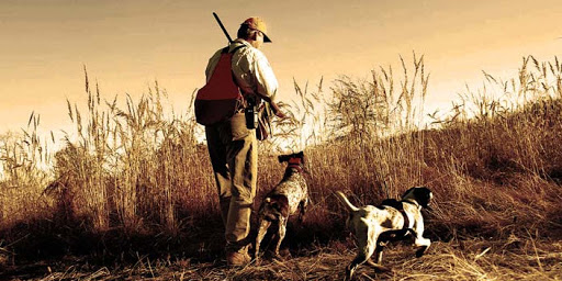 Read more about the article Η ΦΕΤΙΝΗ ΥΠΟΥΡΓΙΚΗ ΑΠΟΦΑΣΗ ΓΙΑ ΤΟ ΚΥΝΗΓΙ