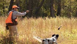 Read more about the article Χωρίς τέλη και εισφορές υπέρ του Δημοσίου συνοδεύεται η φετινή ρυθμιστική απόφαση για το κυνήγι