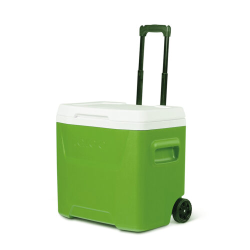 IGLOO LAGUNA 16 ROLLER